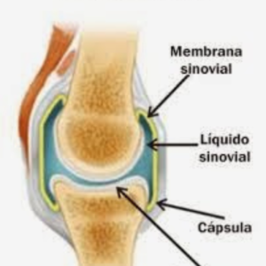 articulação estala